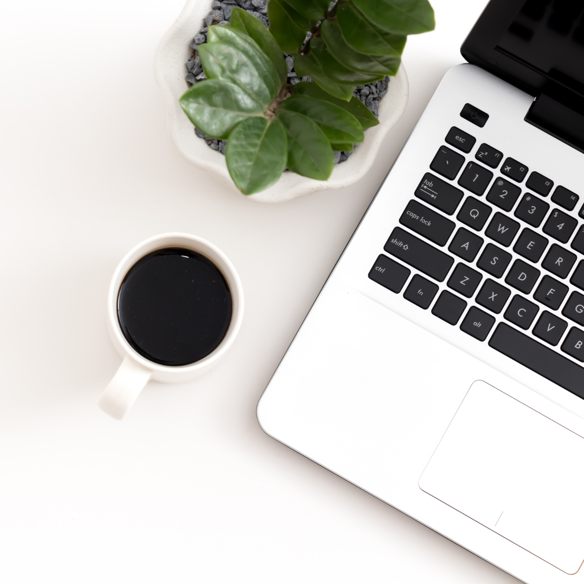 web design erin terpstra