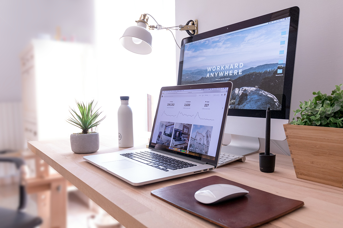 Wordpress or Shopify website design