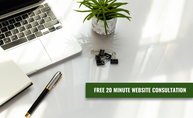 free 20 minute website consultation
